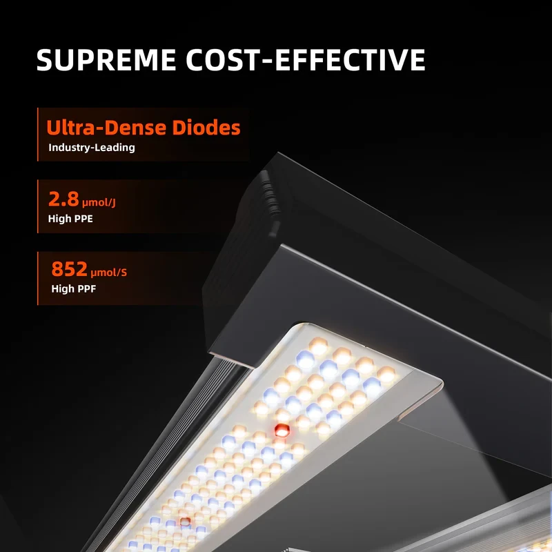 Spider Farmer G3000 EVO – 300W LED Grow Light für effizientes Wachstum