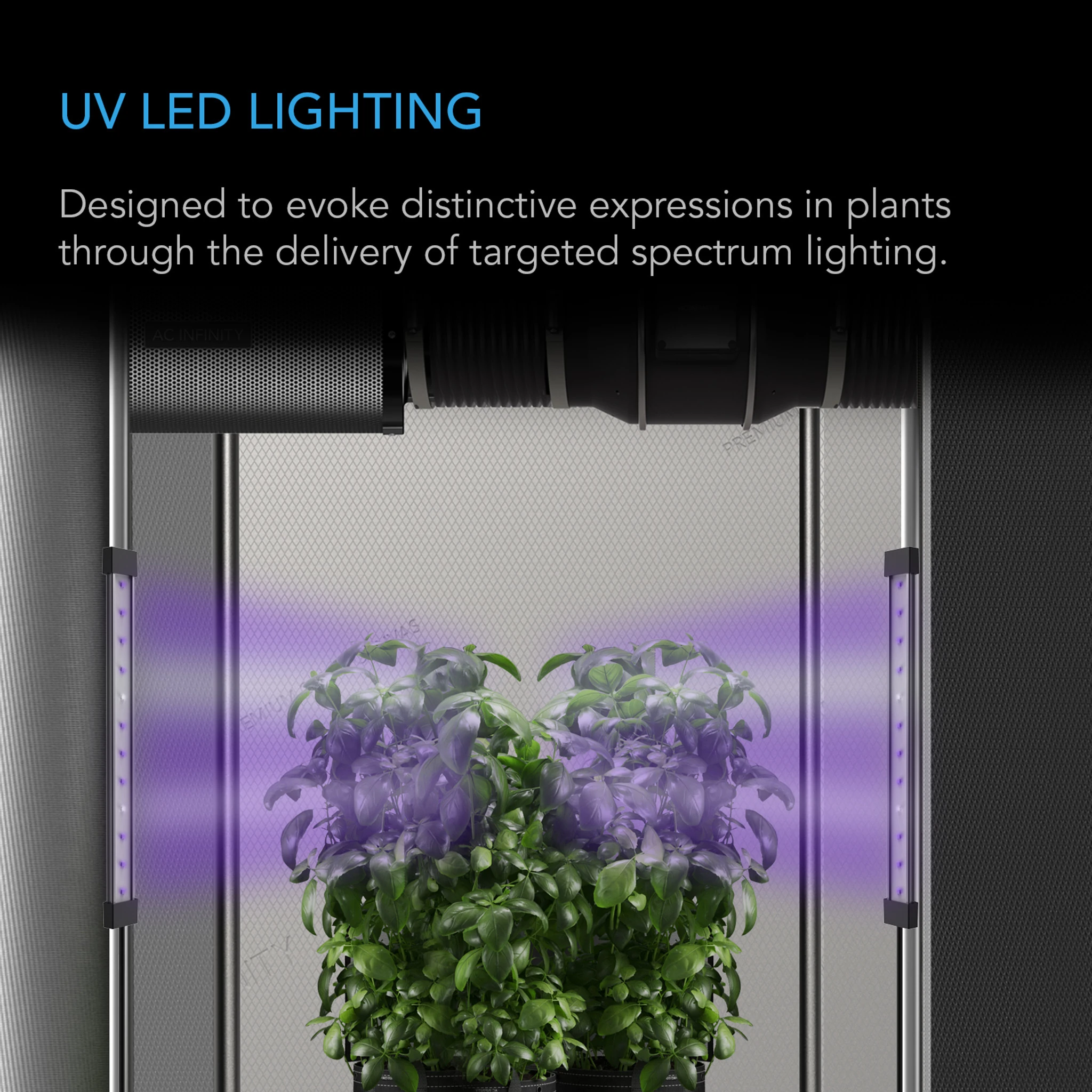 IONBEAM U2 – UV-Zusatzlicht für Blüte & Fruchtphase