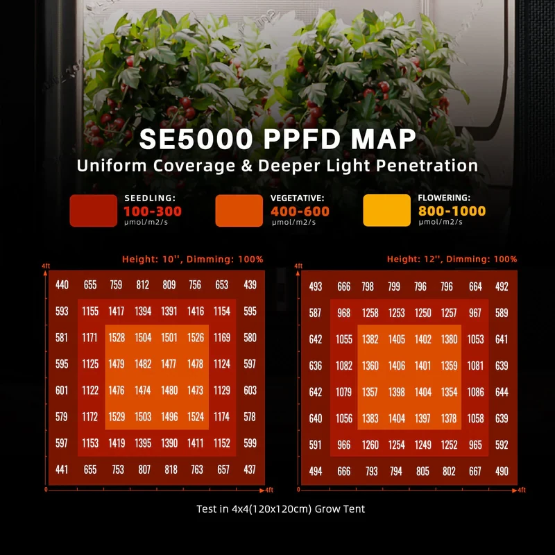 Spider Farmer SE5000 EVO – 480W LED Grow Light für kraftvolles Pflanzenwachstum