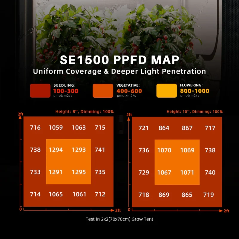 Spider Farmer SE1500 EVO – Kompakte 150W LED für maximale Effizienz