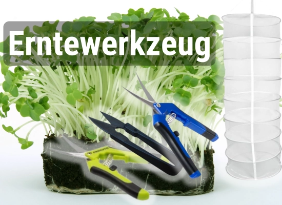 KachelProdukt (2)