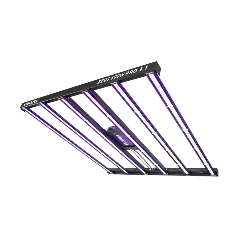 Lumatek Zeus 600W PRO 3.1 – Effizienz auf Profi-Niveau