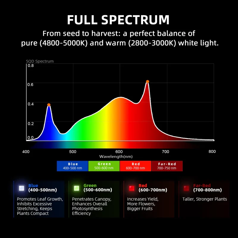 Spider Farmer G3000 EVO – 300W LED Grow Light für effizientes Wachstum