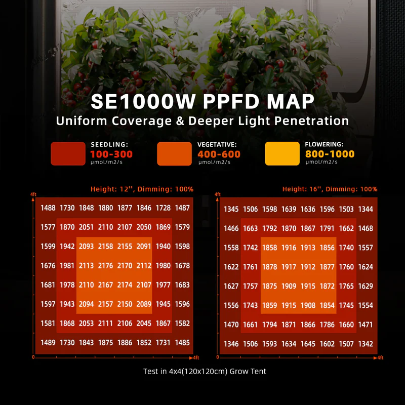 Spider Farmer SE1000W EVO – 1000W Profi-Growlampe für große Anbauflächen
