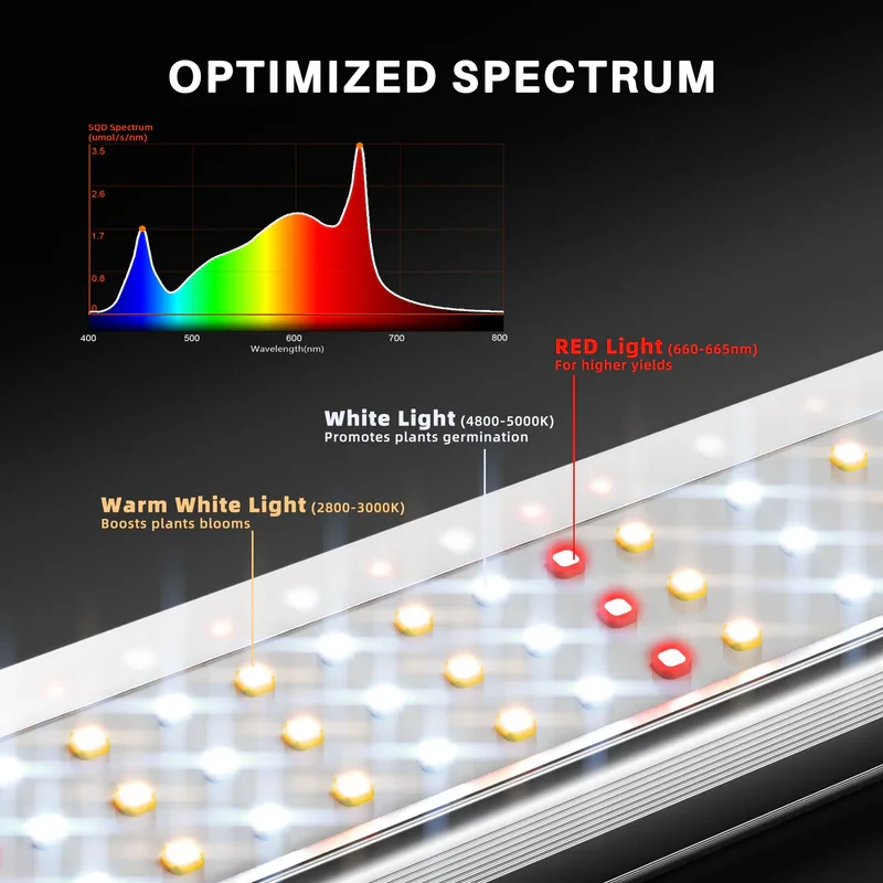 Spider Farmer SE1500 EVO – Kompakte 150W LED für maximale Effizienz
