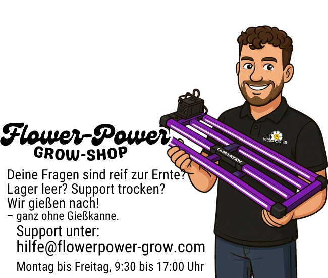 HilfeUndBeratungFlowerPower