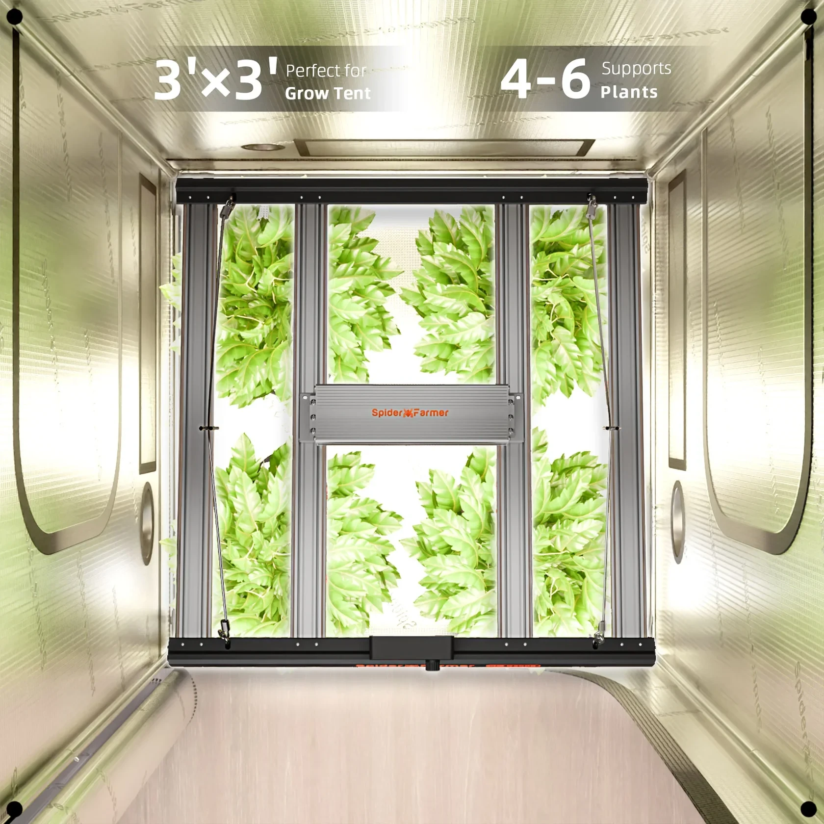 Spider Farmer G3000 Grow Tent Kit – Komplettset für 3–6 Pflanzen