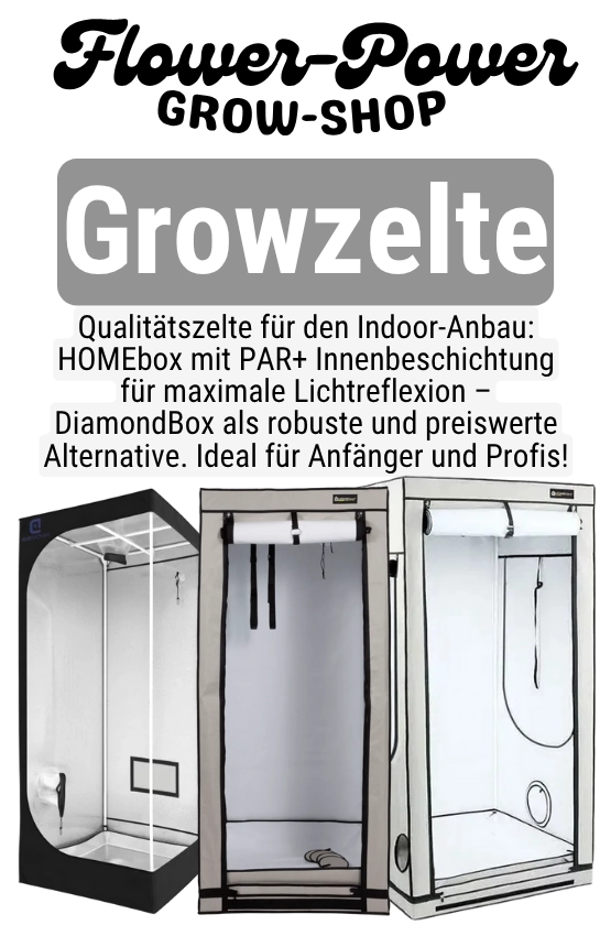 Zelte