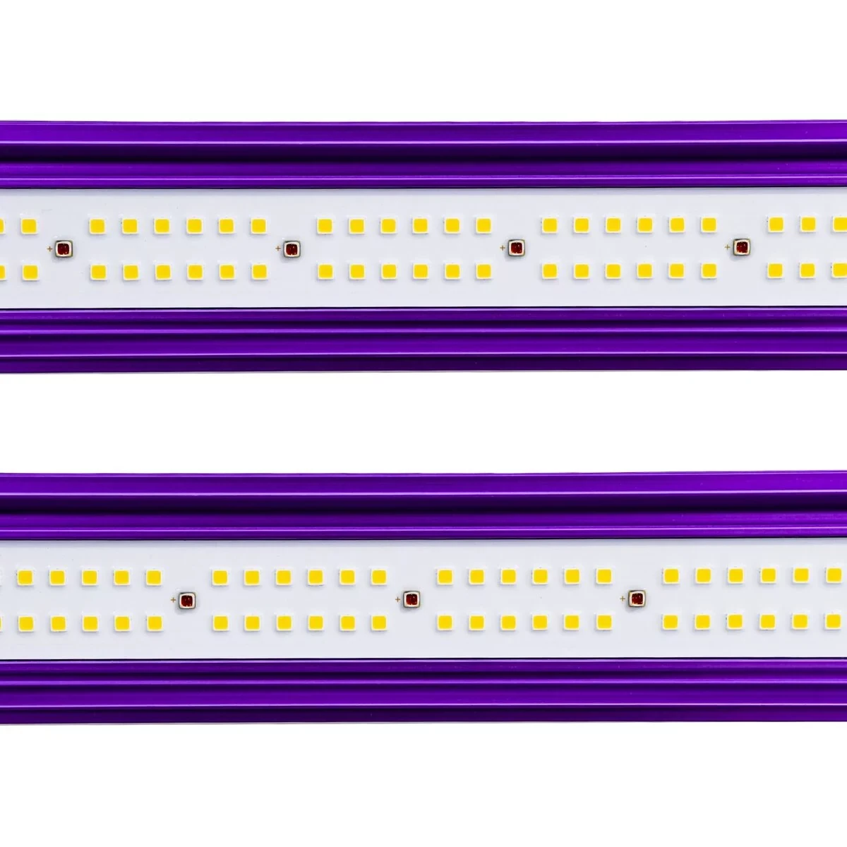 Lumatek Zeus 465W PRO 2.9 – Hochleistung auf 120 × 120 cm