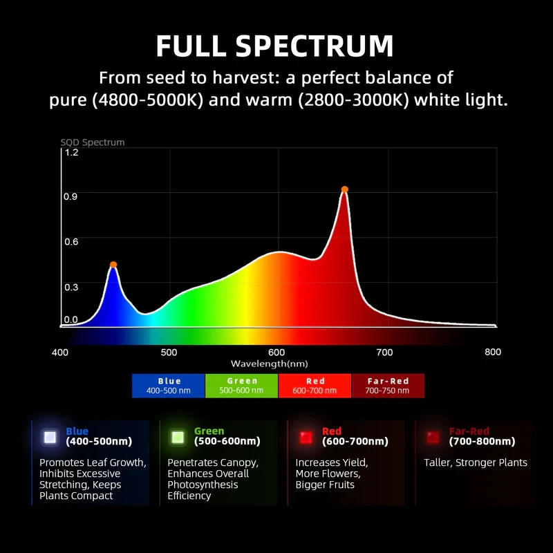 Spider Farmer SE1500 EVO – Kompakte 150W LED für maximale Effizienz