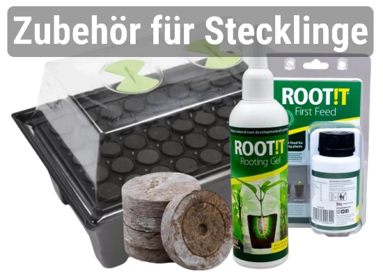 KachelnKleinFlowerPower (1)