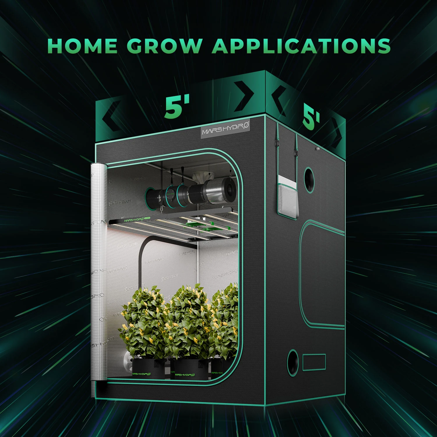 Mars Hydro FC-E 6500 LED – Leistungsstarke 730W Grow-Beleuchtung für große Anbauflächen