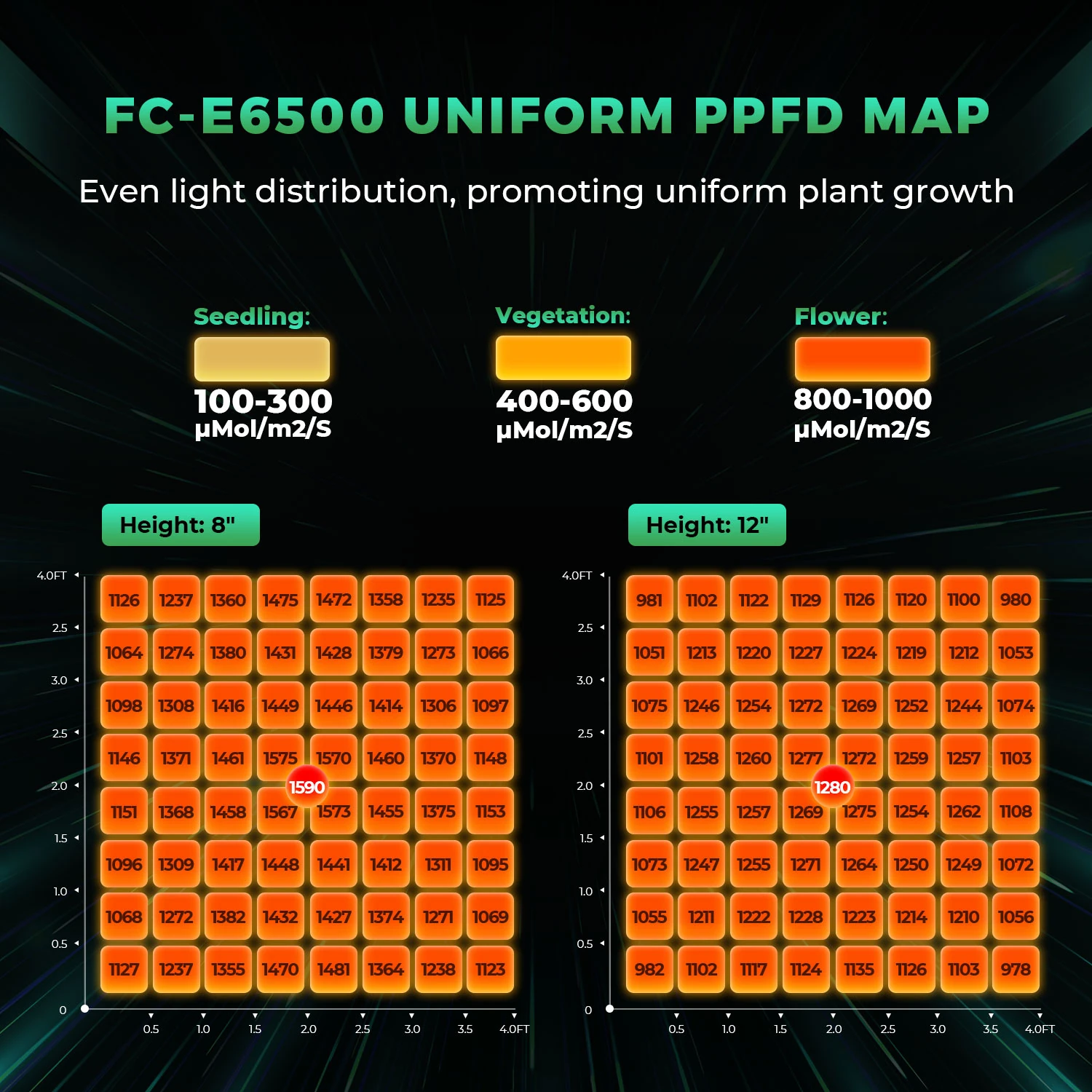 Mars Hydro FC-E 6500 LED – Leistungsstarke 730W Grow-Beleuchtung für große Anbauflächen