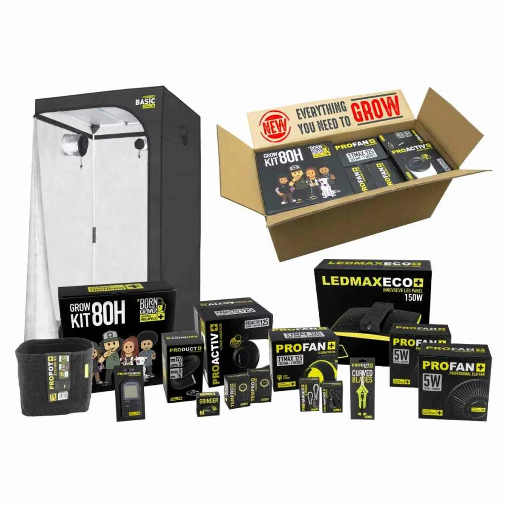 Growbox Komplettset 80x80 – Einstiegspaket für effizientes Indoor-Gärtnern