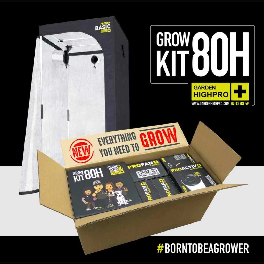 Growbox Komplettset 80x80 – Einstiegspaket für effizientes Indoor-Gärtnern